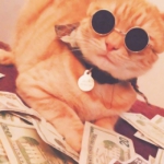 很土豪很大佬的可爱猫咪头像图片