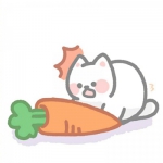 可爱的手绘卡通猫头像图片