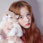 年轻高清青春里的漂亮女头图片