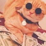 美元钞票中的土豪猫咪头像图片