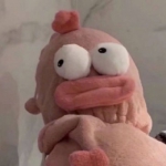 可爱的动物高清头像图片精选