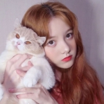 2023qq女头优质图片精选