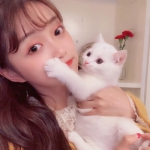 漂亮高清气质绝佳适合温柔女孩的头像图片