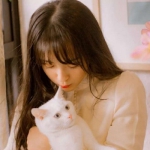 2023漂亮好看的微信头像女生优雅图片