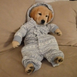 微信高清穿睡衣的可爱狗狗呆萌头像图片