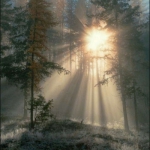 2023微信个性背景头像图片