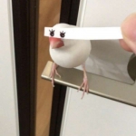 高清一个系列的沙雕团体头像图片