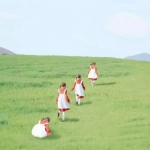 干净绿色系背景高清头像图片精选