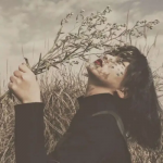 微信女生好看高清的文艺图片唯美头像