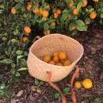 朋友圈背景图片2022最新森系头像