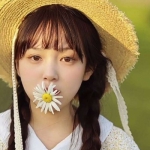 微信高清清新的雏菊少女唯美头像图片