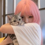 高颜值高清美女抱着猫的头像图片大全