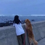 2023高清个性流行网图头像