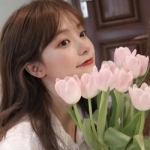 2023高清漂亮淑女的温柔美女头像图片