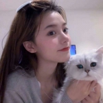 女头高清漂亮抱着猫咪的图片