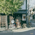 清新高清小镇风景头像图片大全