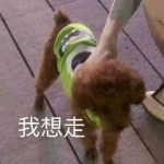 可爱高清我的对象不是人系列情头图片