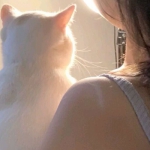 女生高清有爱的少女和猫咪头像图片