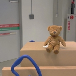 2022个性静物背景头像图片