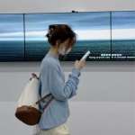 2023网络最火女头高清图片