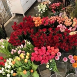 鲜花静物,2022超好看的背景头像图片
