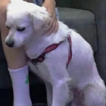 微信高清一对两张的好看真人情头图片