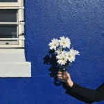 高清2023微信背景头像图片