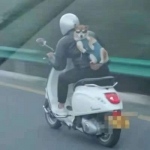 情头,一男一女情头2022沙雕