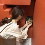 微信高清温柔的丧系真人女头