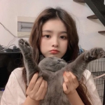 QQ好看高清的网图女头