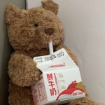 2023高清最近很火的小熊头像图片