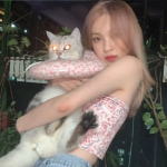 2023高清最近很火的好看的女头图片