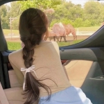 2023微信头像最火爆女真人图片