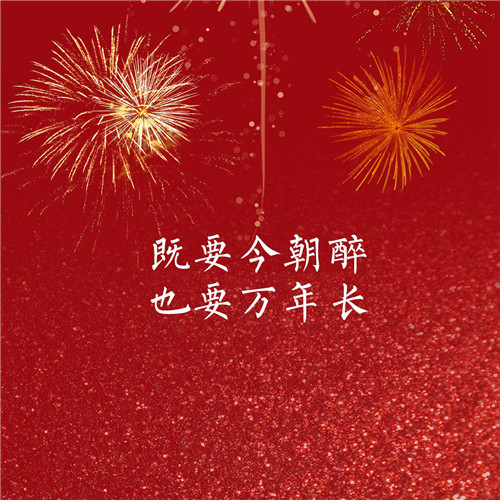 2024年跨年新年过年烟花文字头像图片(图16)