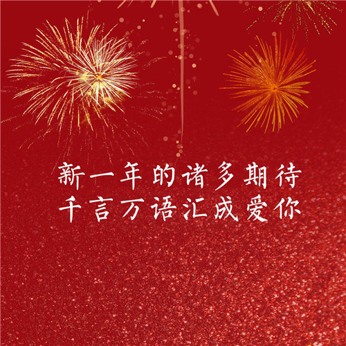 2024年跨年新年过年烟花文字头像图片(图18)