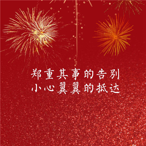 2024年跨年新年过年烟花文字头像图片(图17)