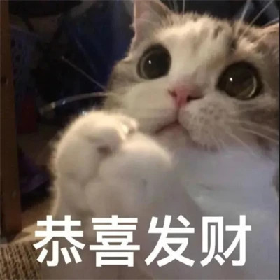 适合当头像的沙雕表情包(图88)
