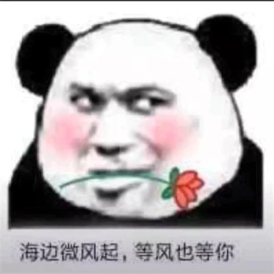 沙雕熊猫头表情包头像图片(图40)