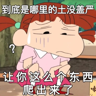 适合当头像的沙雕表情包(图65)