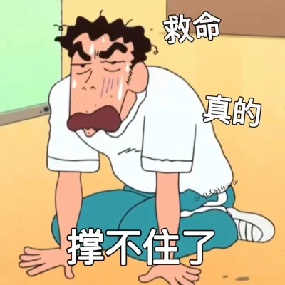 适合当头像的沙雕表情包(图66)