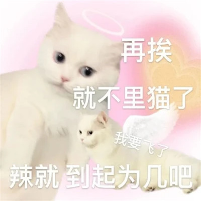 适合当头像的沙雕表情包(图26)