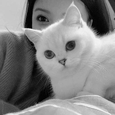 酷酷的黑白系女生抱着猫咪的头像图片(图72)
