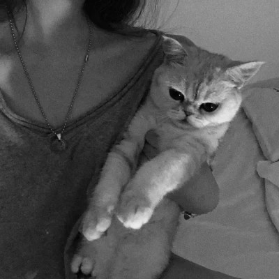 酷酷的黑白系女生抱着猫咪的头像图片(图63)