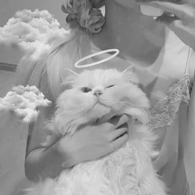 酷酷的黑白系女生抱着猫咪的头像图片(图113)