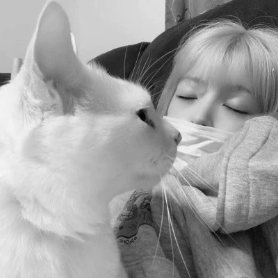 酷酷的黑白系女生抱着猫咪的头像图片(图53)