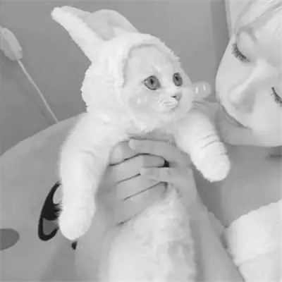 酷酷的黑白系女生抱着猫咪的头像图片(图112)