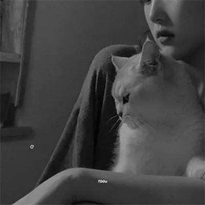 酷酷的黑白系女生抱着猫咪的头像图片(图75)