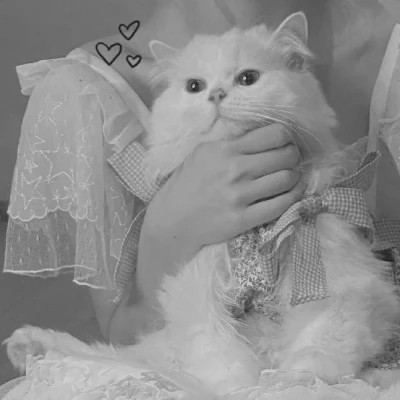 酷酷的黑白系女生抱着猫咪的头像图片(图114)
