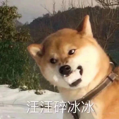 2024年最受欢迎的表情包头像图片(图33)