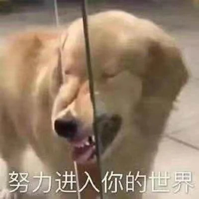 2024表情包头像图片精选(图39)
